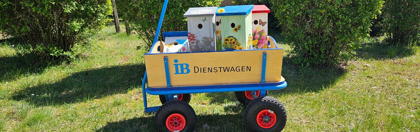 Bollerwagen mit der Aufschrift „IB Dienstwagen“ steht auf einer grünen Wiese. Im Wagen befinden sich mehrere bunt bemalte Nistkästen mit Blumen- und Naturmotiven. Im Hintergrund sind Büsche und Bäume zu sehen, die den naturnahen Außenbereich umrahmen.