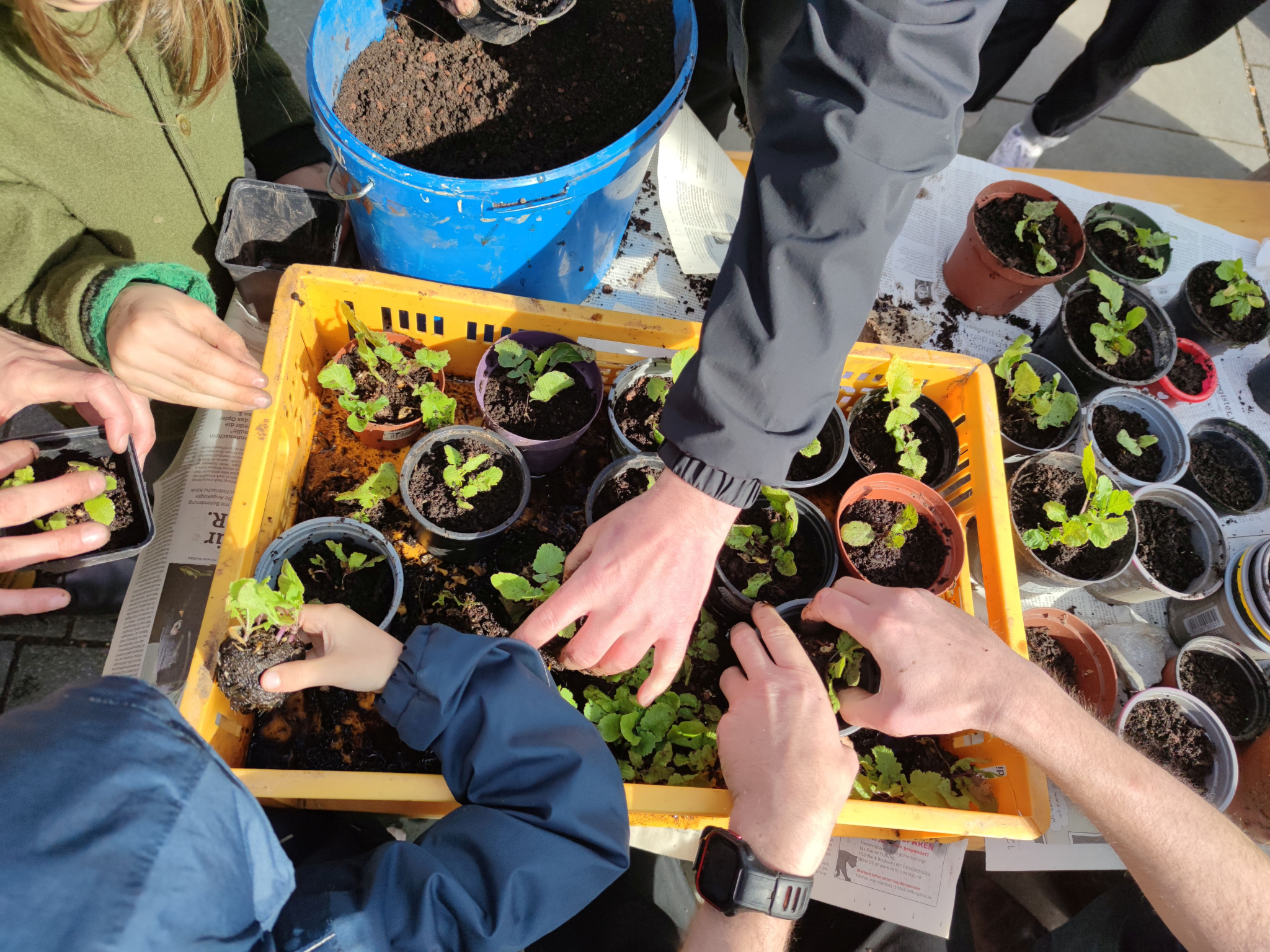 Keine Bildbeschreibung verfügbar
