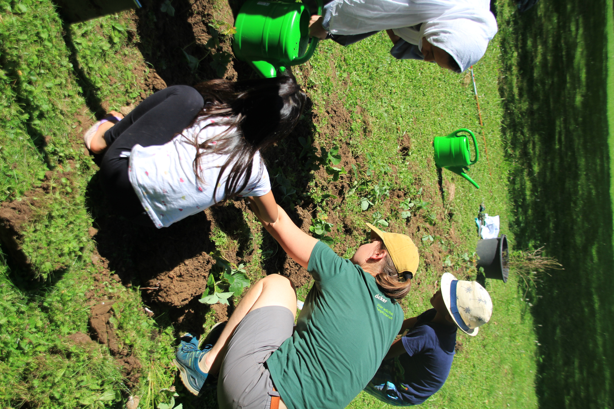 Keine Bildbeschreibung verfügbar