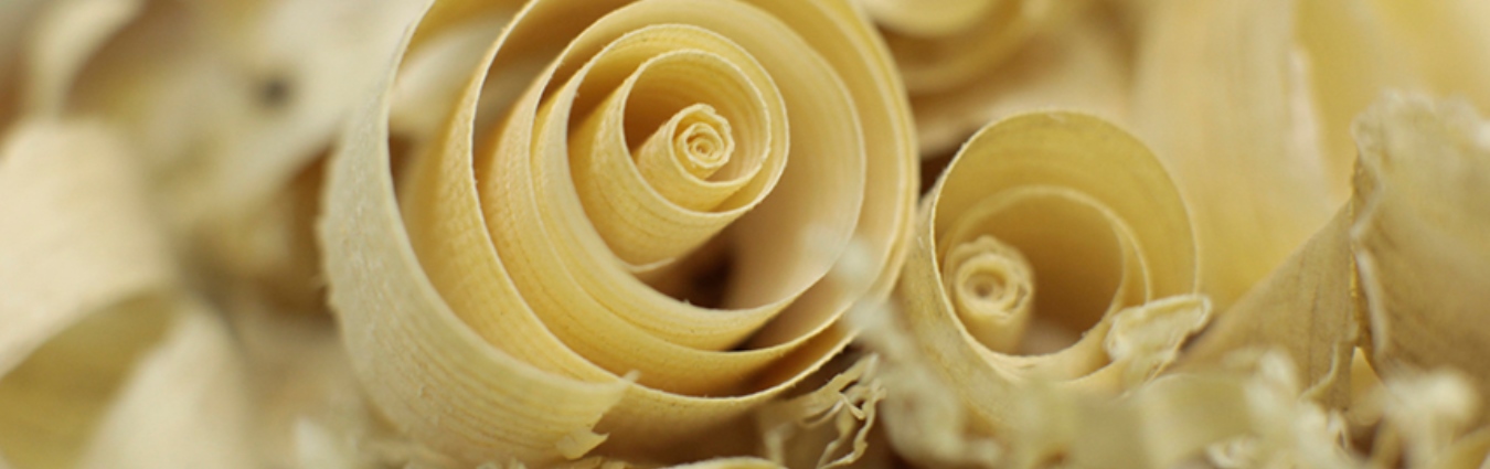 Keine Bildbeschreibung verfügbar