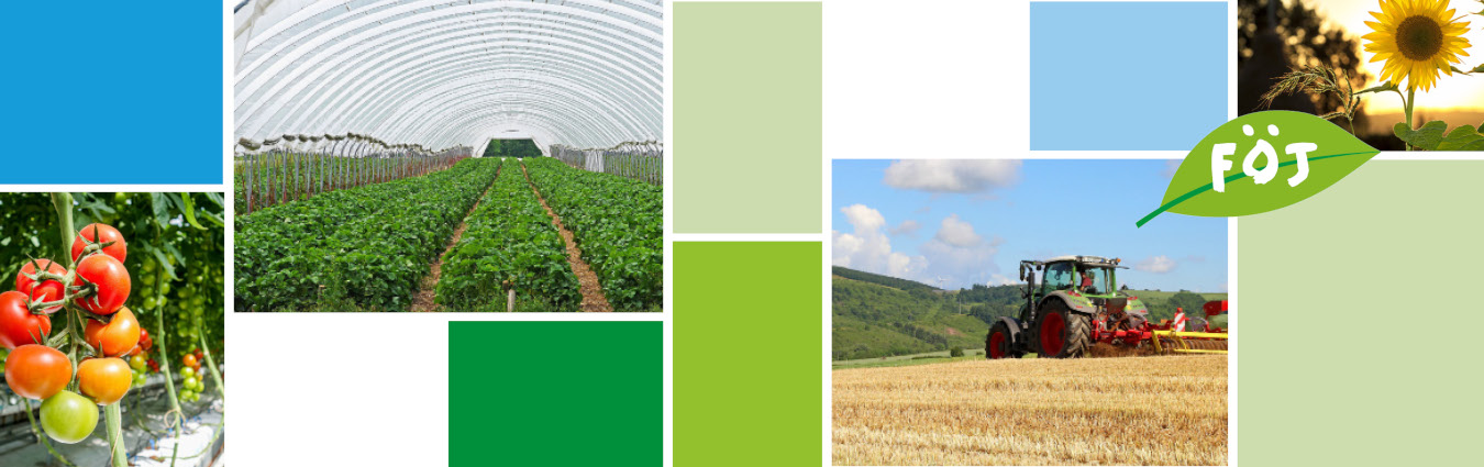 Collage aus Kacheln in Grün- und Blautönen, sowie vier Fotos: Foto1 : Tomaten an einem Tomatenstrauch, Foto 2: Gewächshaus von innen mit angebauten Pflanzen, Foto 3: Traktor auf Getreidefeld, Foto 4: Sonnenblume. Logo: ikonographisches Blatt mit Text FÖJ.