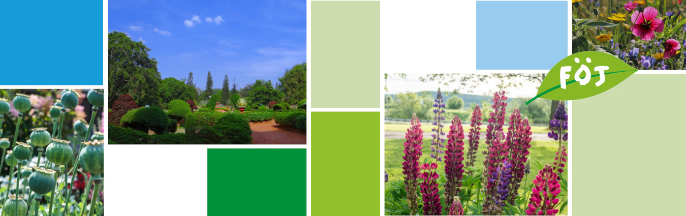 Collage aus Kacheln in Grün- und Blautönen, sowie vier Fotos von Pflanzen: Mohnkapseln, Parkähnliche Anlage mit Büschen und Bäumen, Pinkfarbene Löwenmäulchen, weitere Blumen in Pink und Lila. Logo: ikonographisches Blatt mit Text FÖJ.