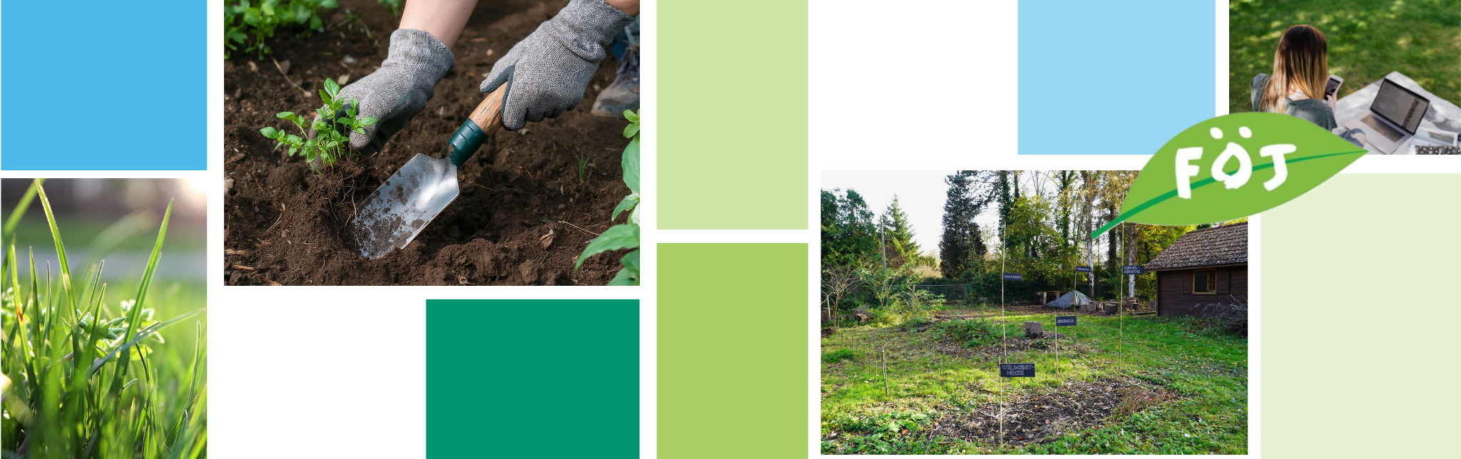 Keine Bildbeschreibung verfügbar