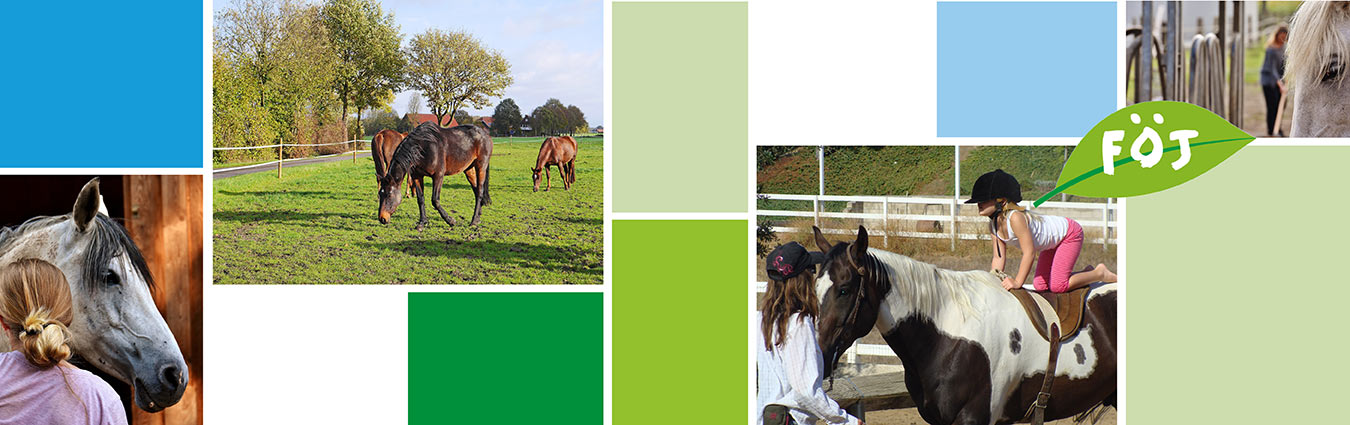 Keine Bildbeschreibung verfügbar