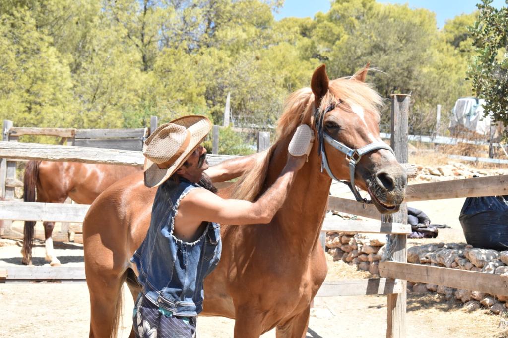Keine Bildbeschreibung verfügbar