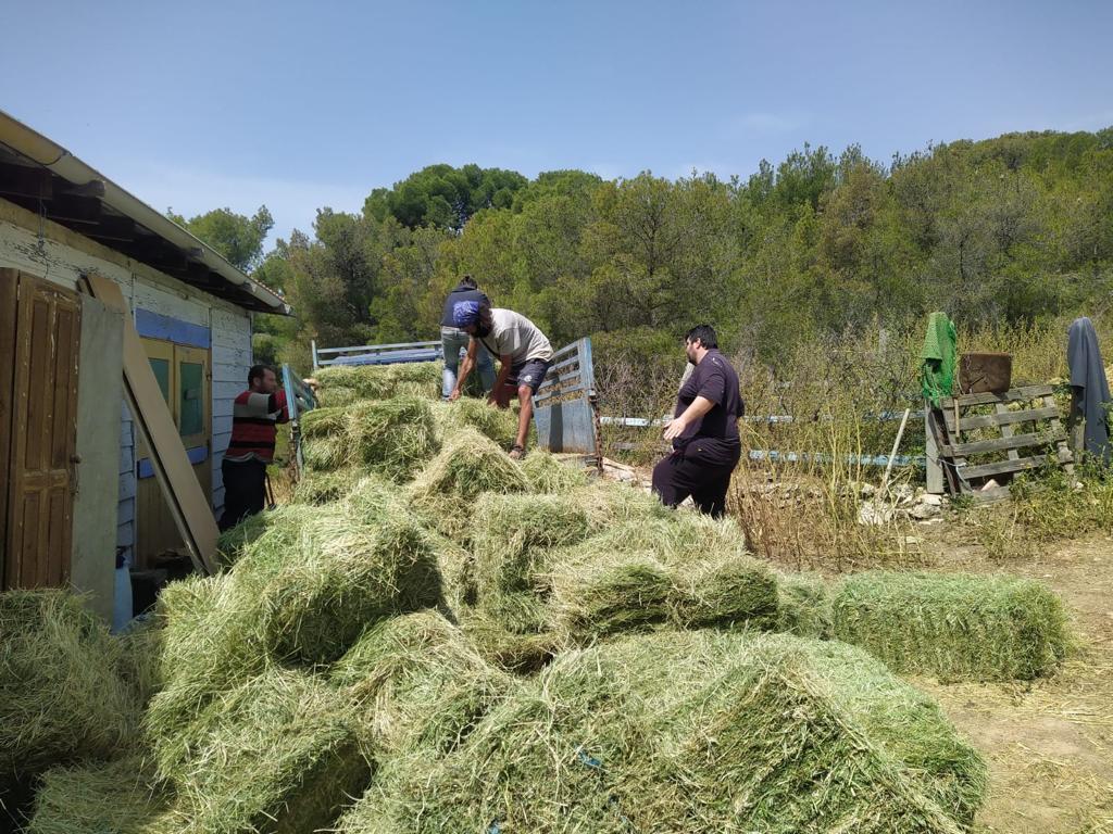 Keine Bildbeschreibung verfügbar