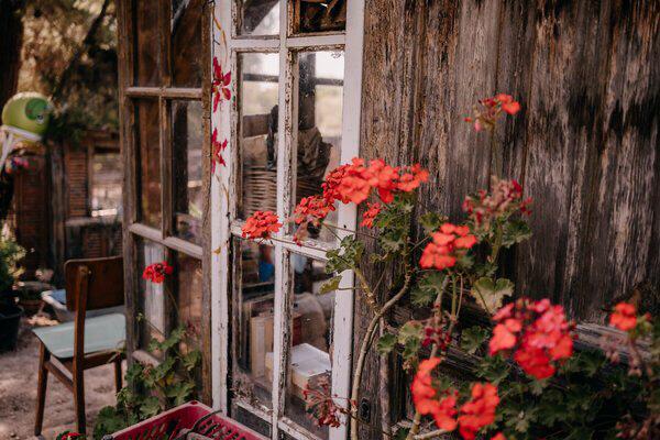 Keine Bildbeschreibung verfügbar