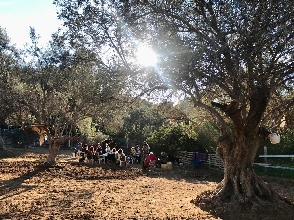 Keine Bildbeschreibung verfügbar