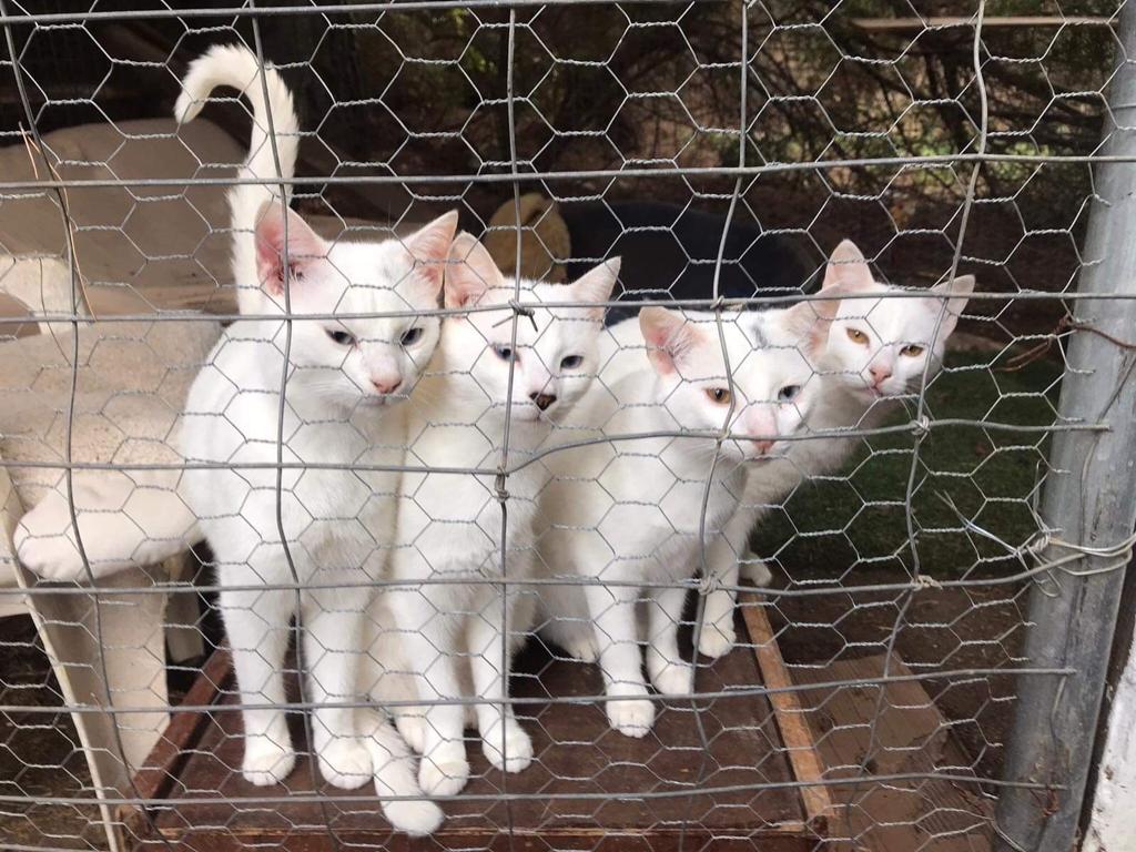 Keine Bildbeschreibung verfügbar