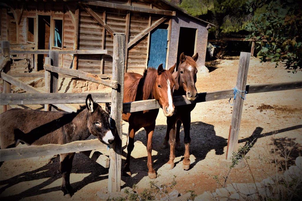 Keine Bildbeschreibung verfügbar