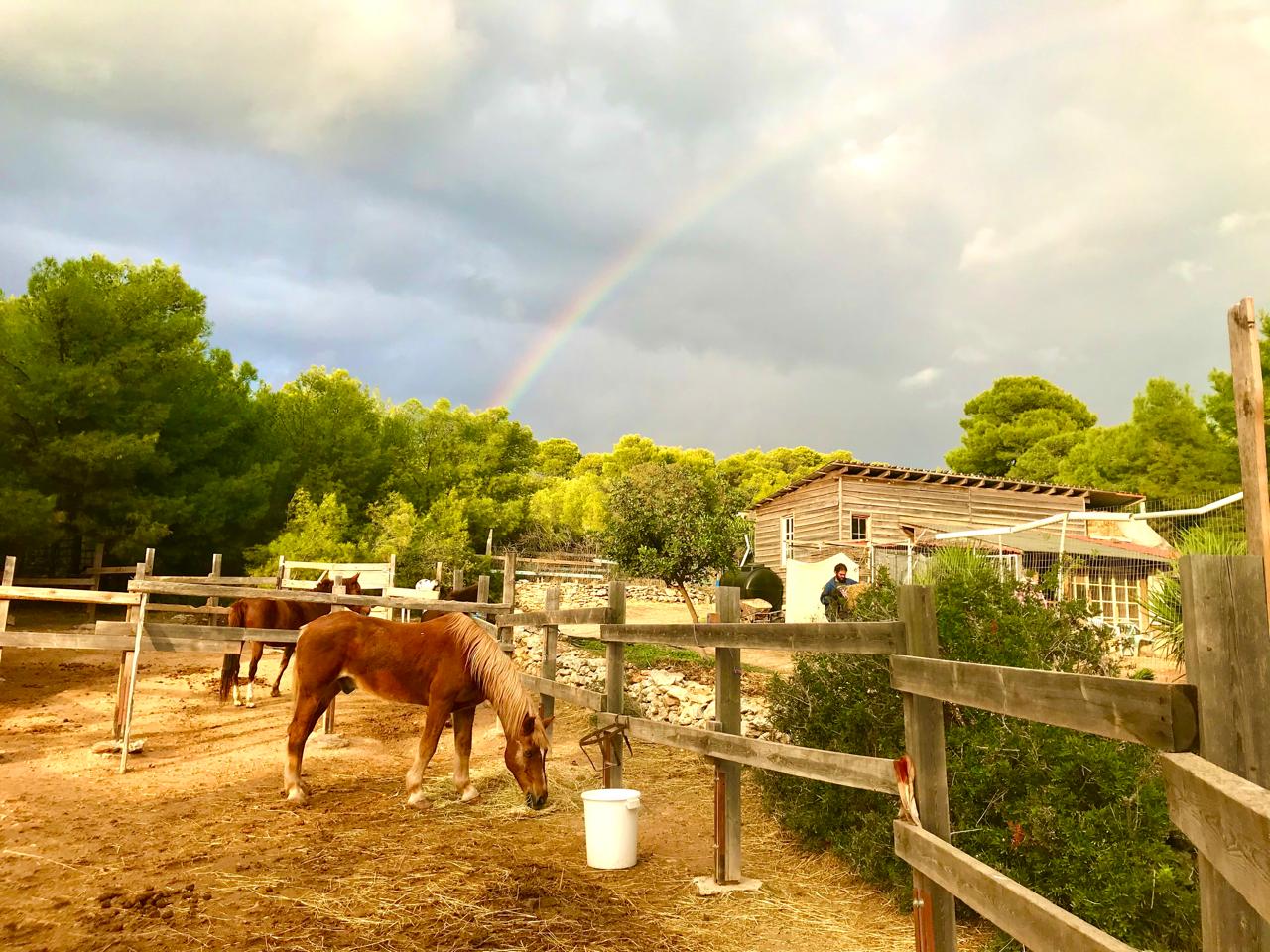 Keine Bildbeschreibung verfügbar