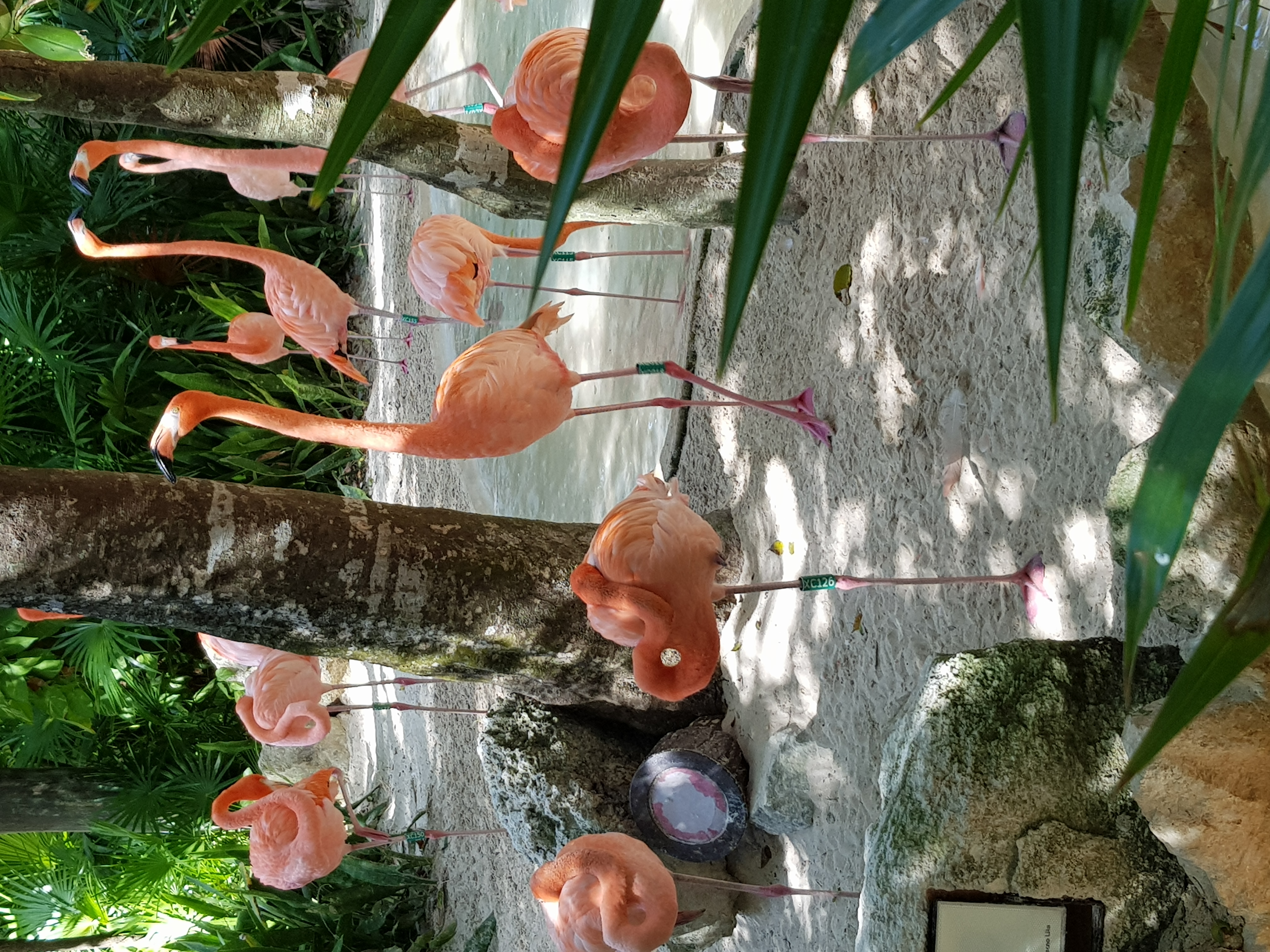 Keine Bildbeschreibung verfügbar