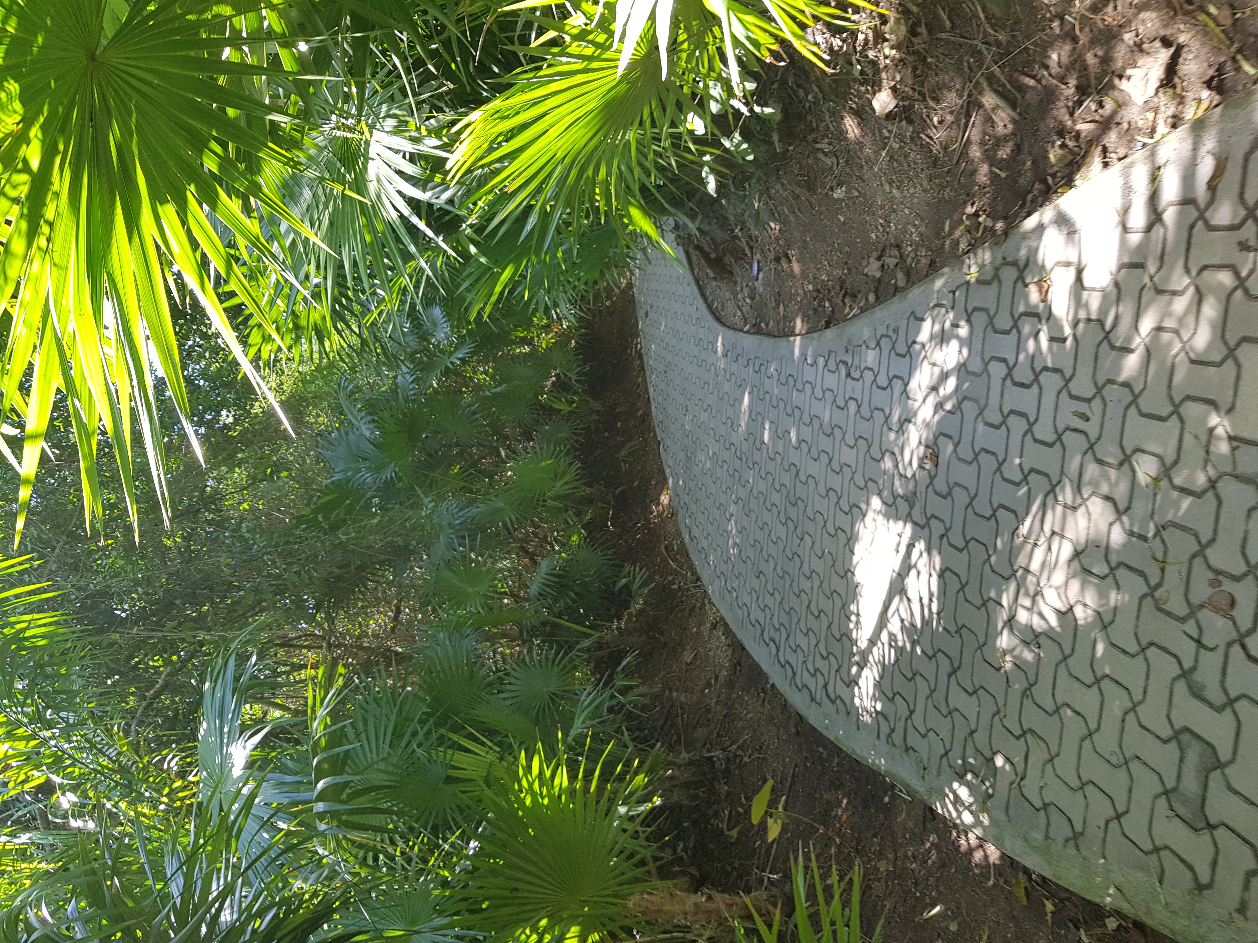 Keine Bildbeschreibung verfügbar