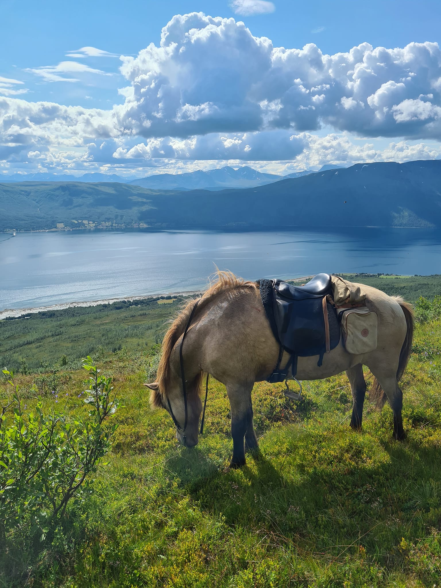 Keine Bildbeschreibung verfügbar