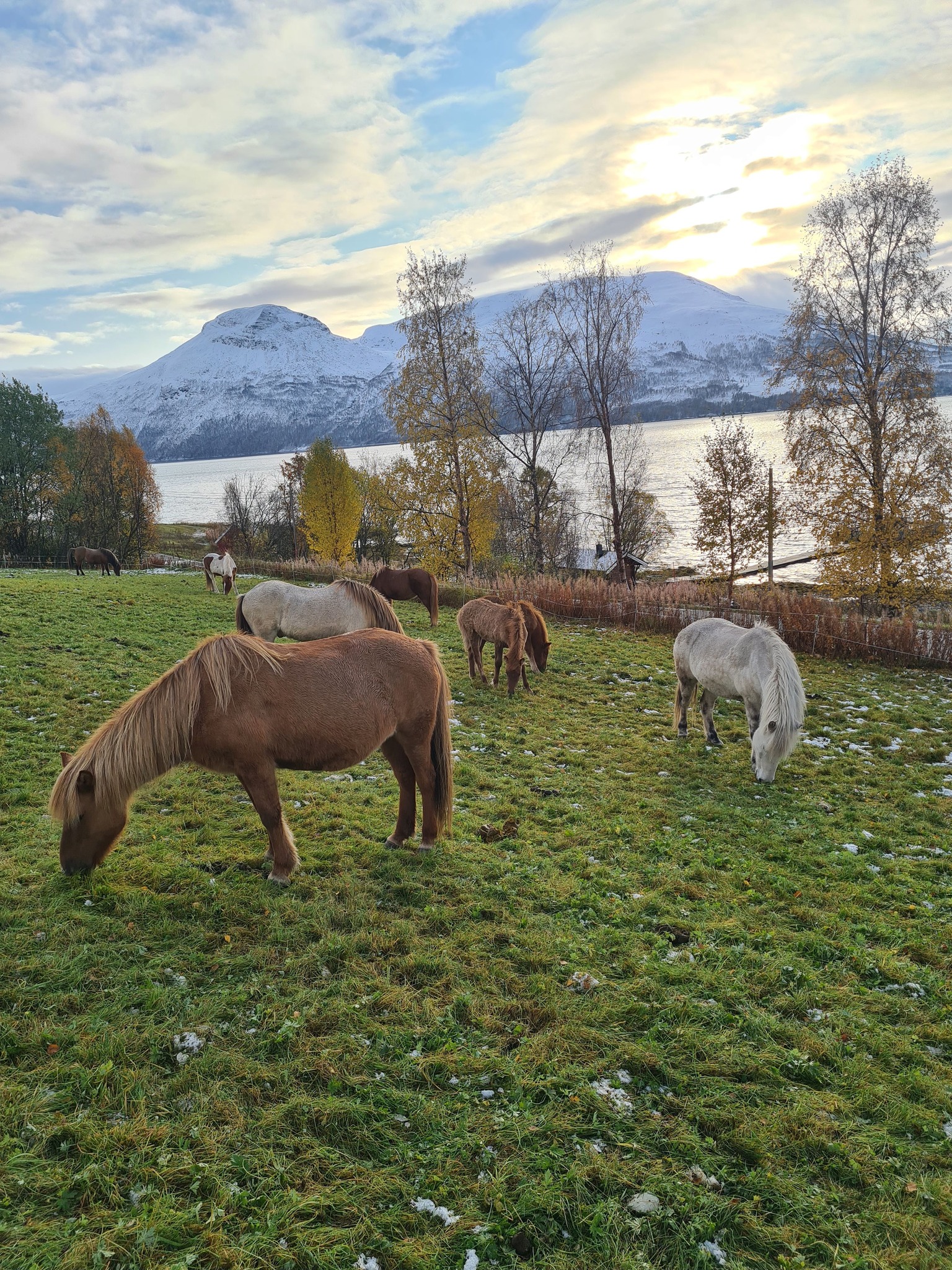 Keine Bildbeschreibung verfügbar