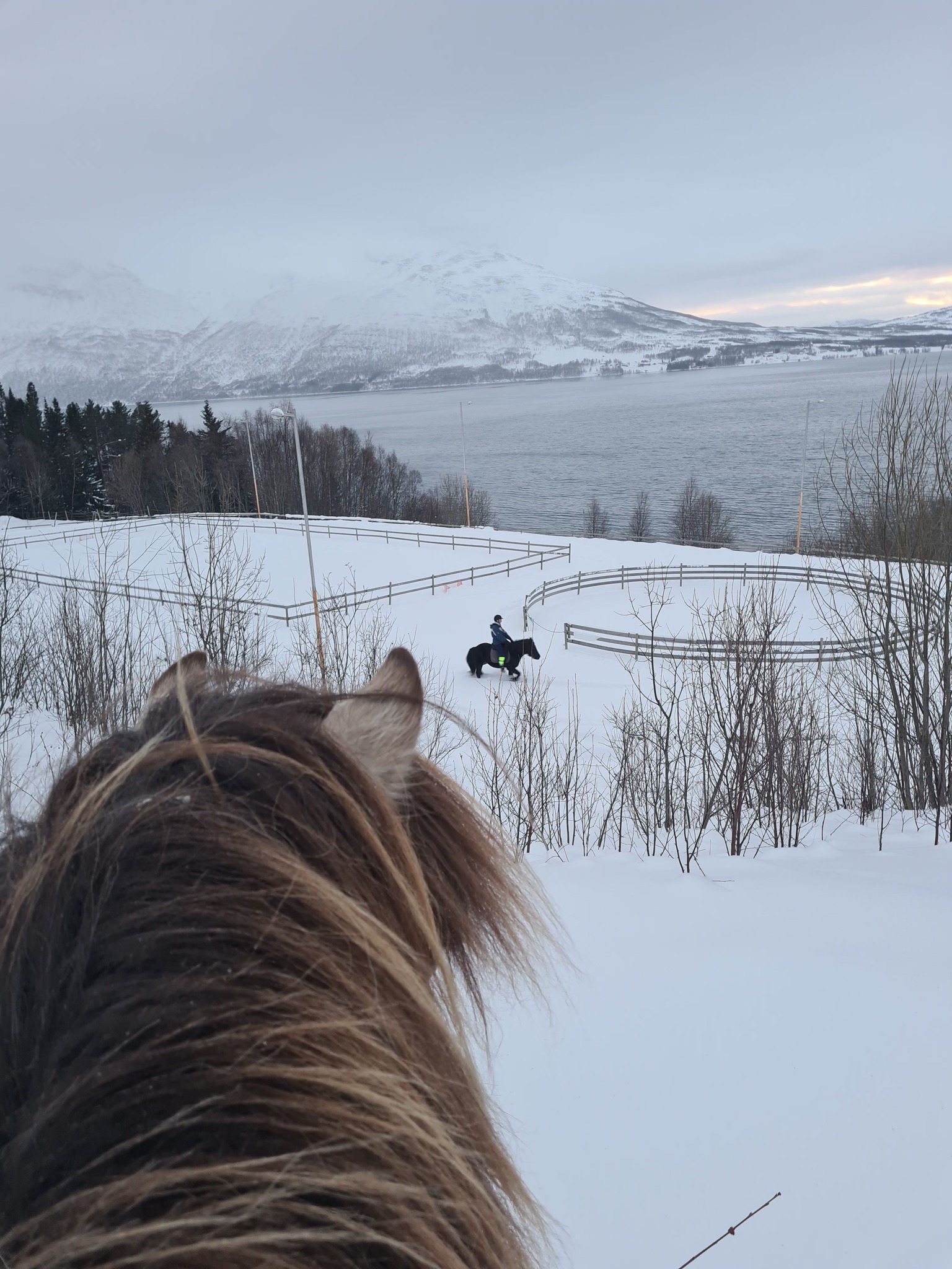Keine Bildbeschreibung verfügbar