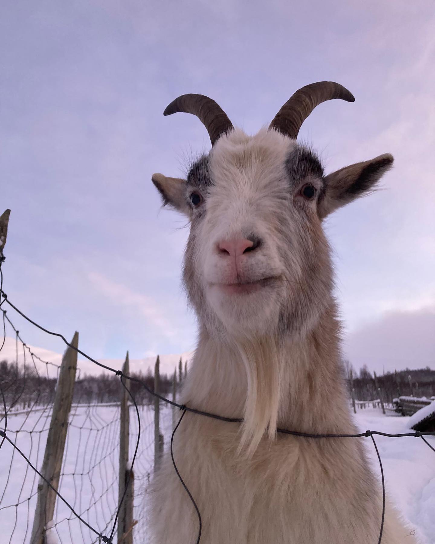 Keine Bildbeschreibung verfügbar