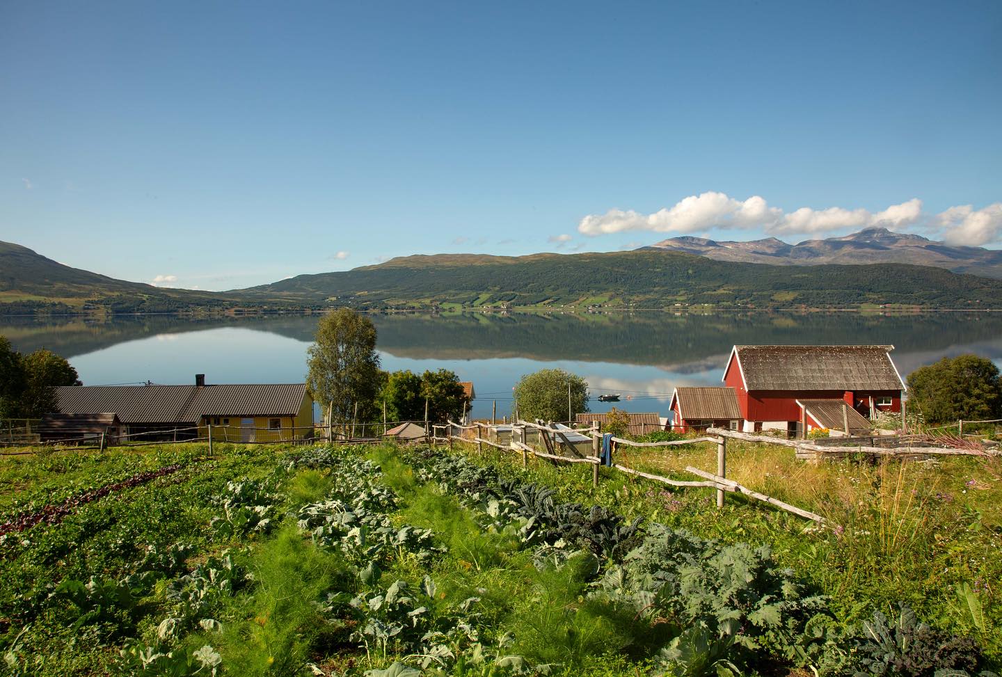 Keine Bildbeschreibung verfügbar
