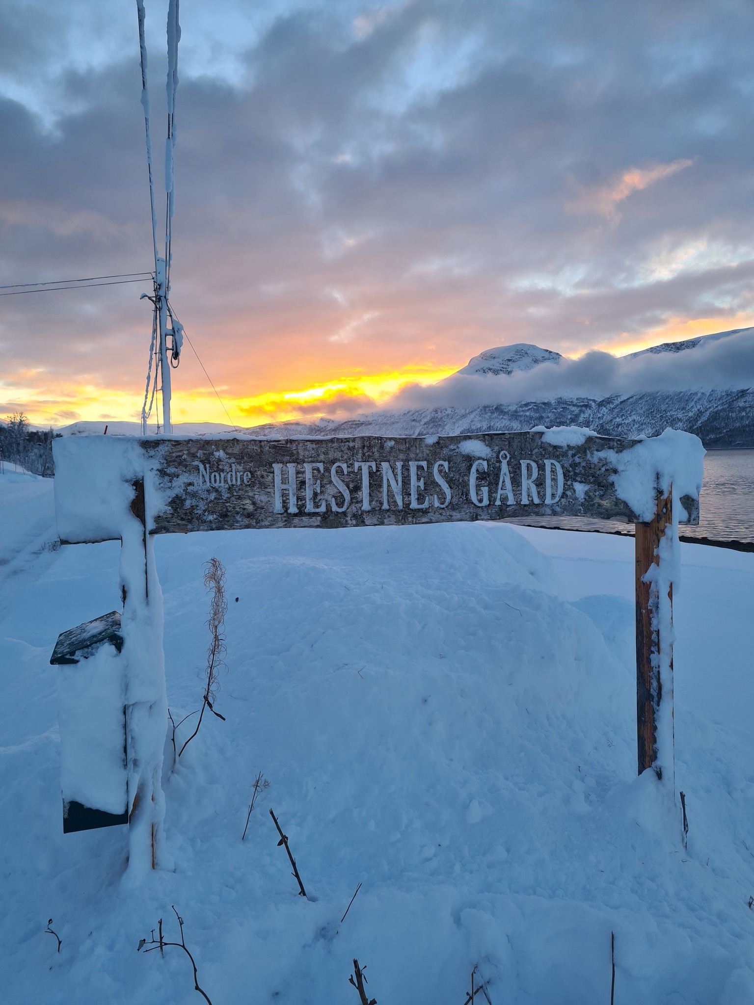 Keine Bildbeschreibung verfügbar