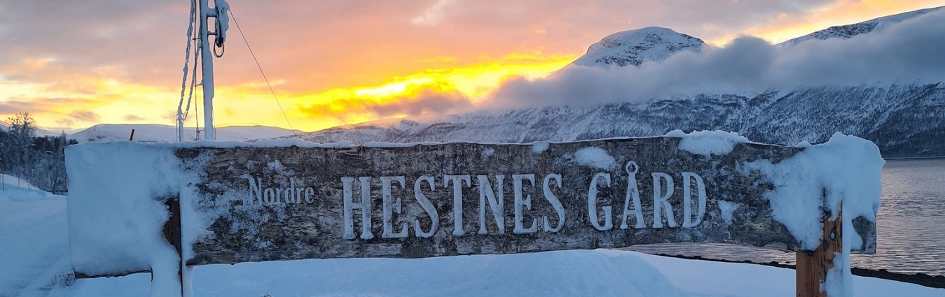 Keine Bildbeschreibung verfügbar