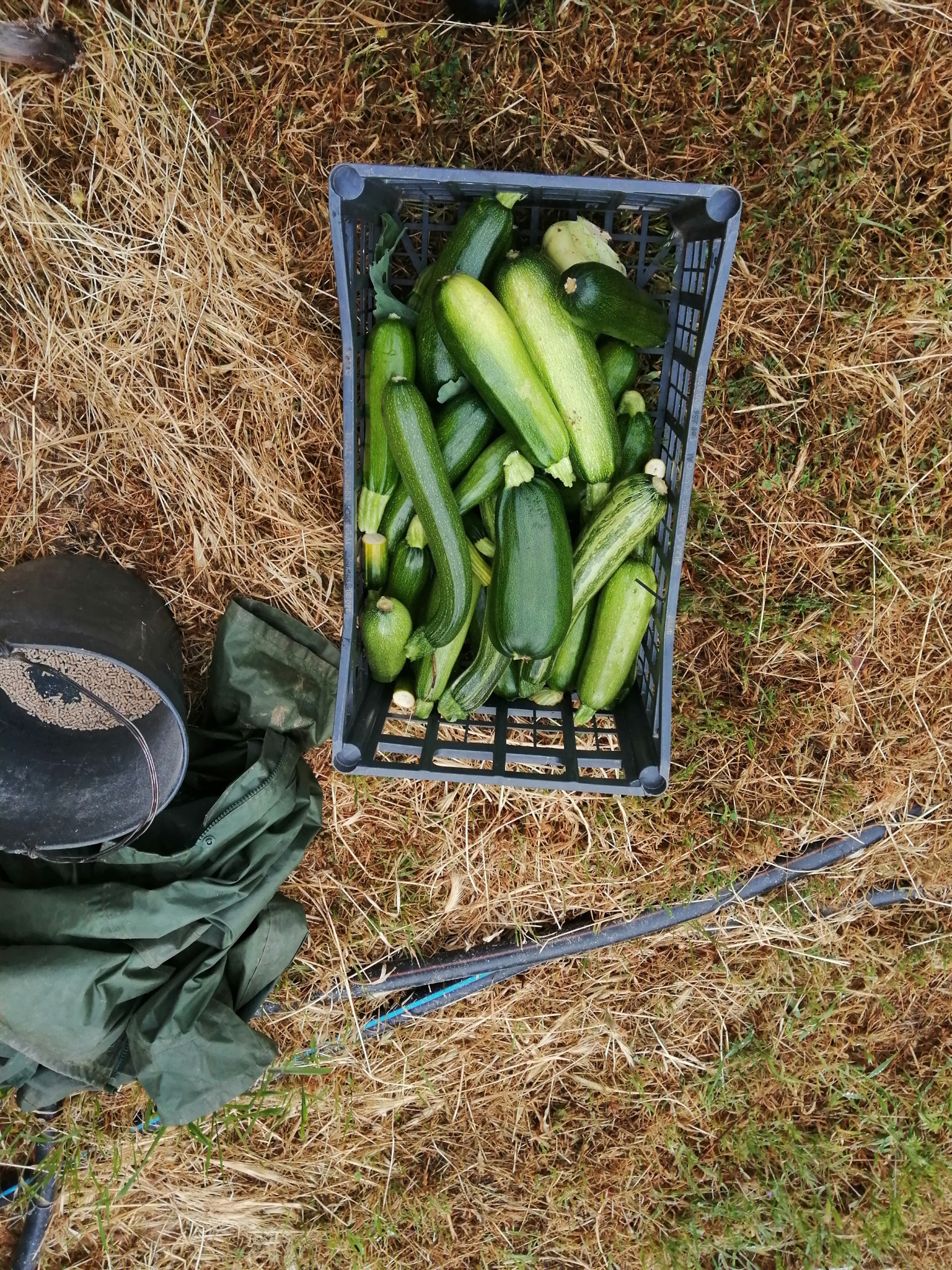 Keine Bildbeschreibung verfügbar