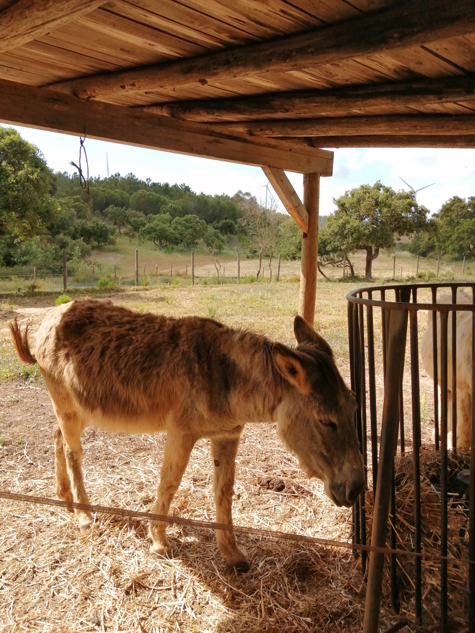 Keine Bildbeschreibung verfügbar