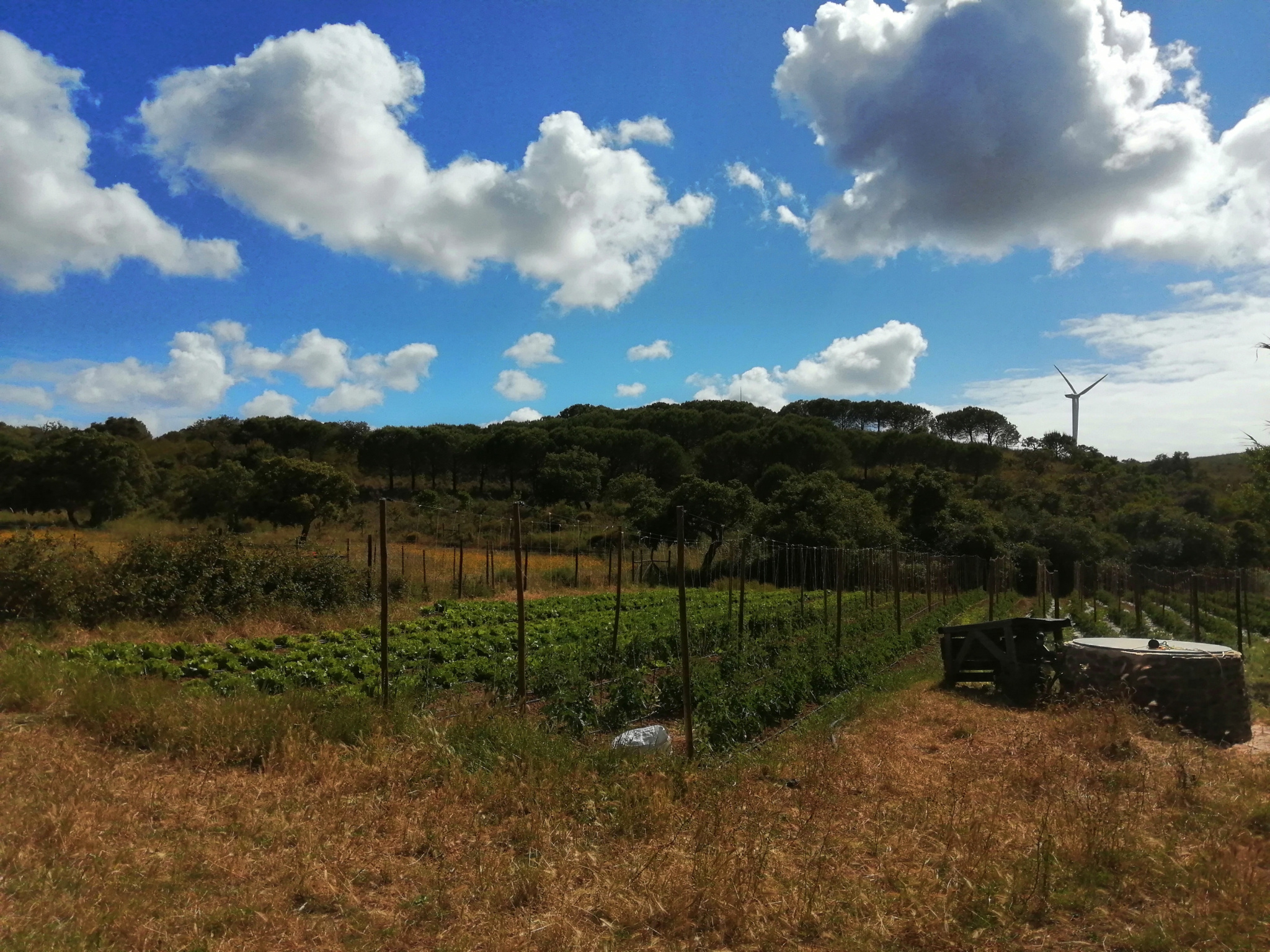 Keine Bildbeschreibung verfügbar