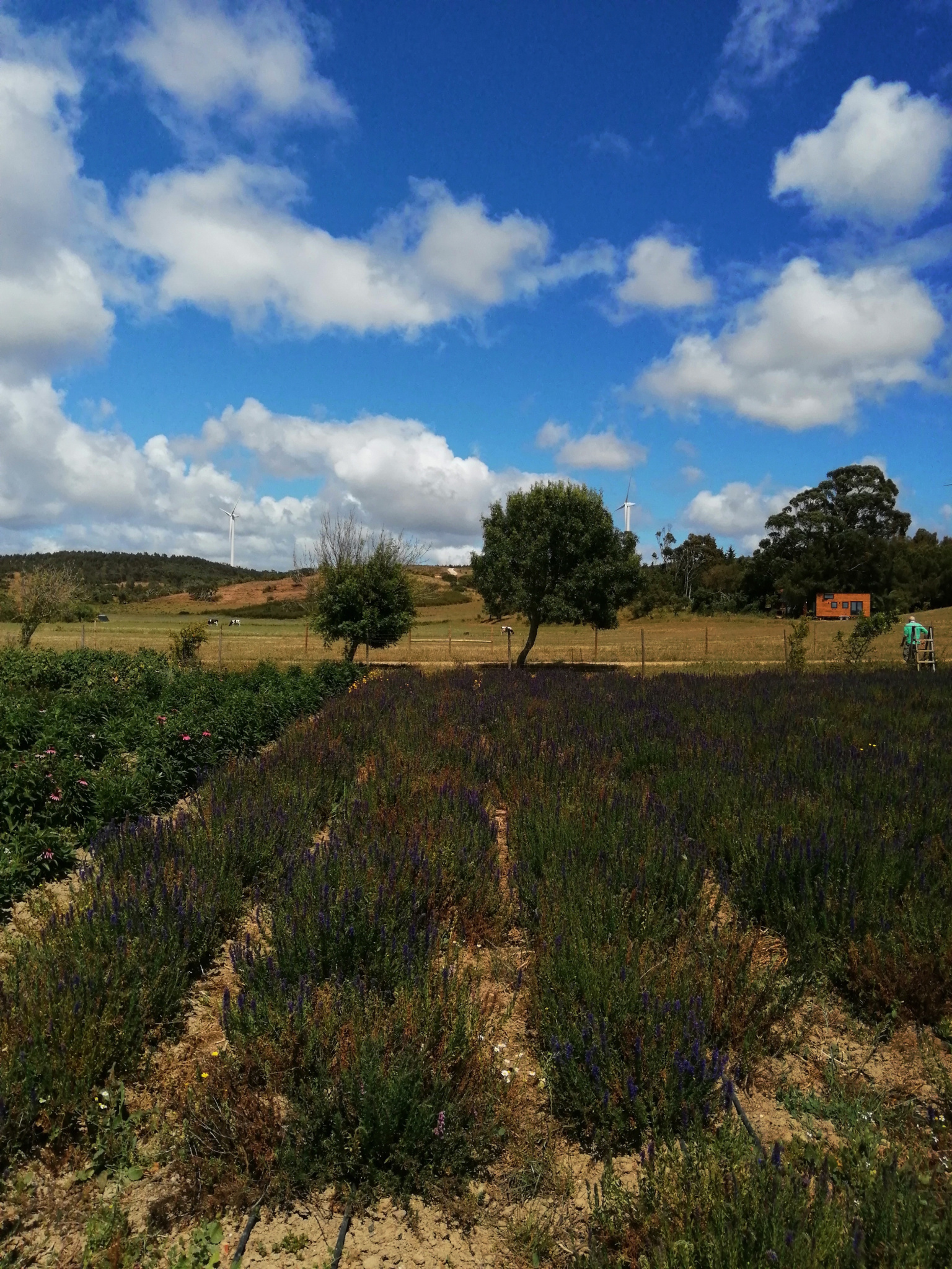 Keine Bildbeschreibung verfügbar