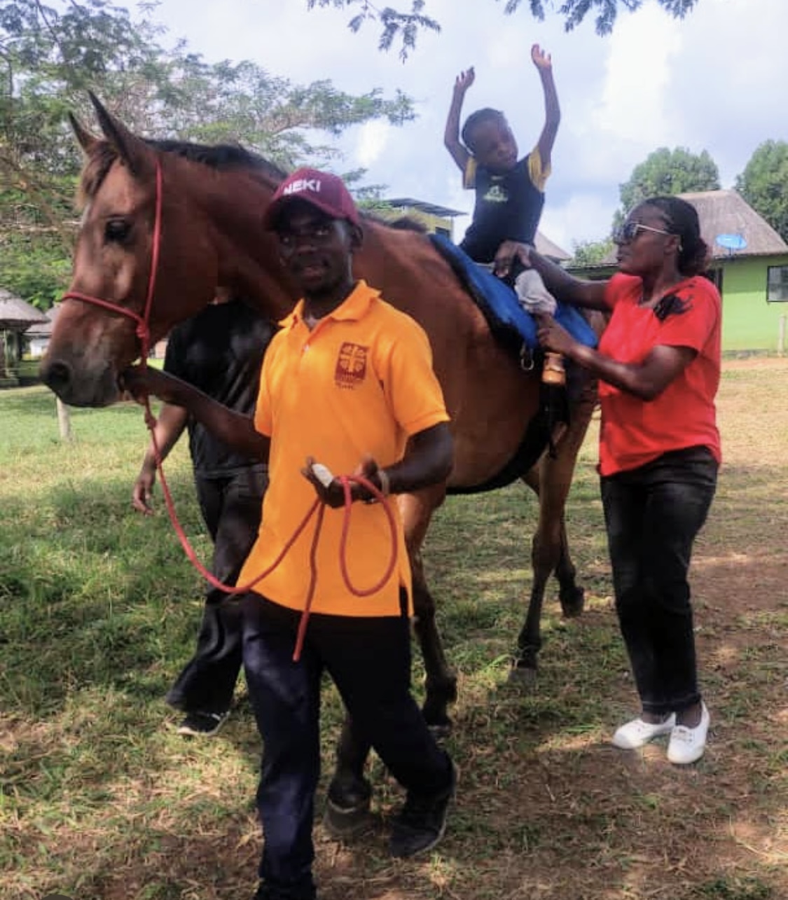 Keine Bildbeschreibung verfügbar