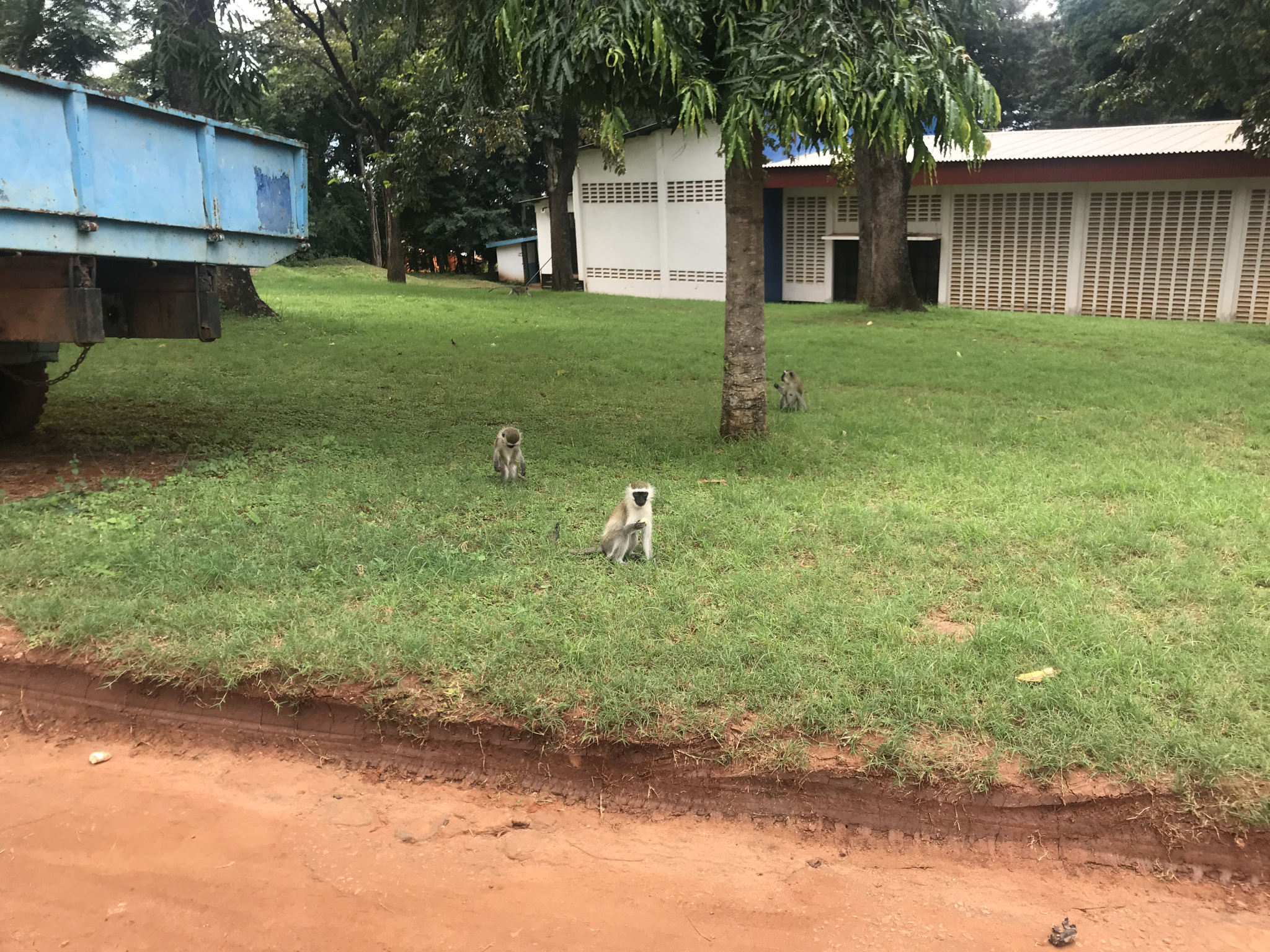 Keine Bildbeschreibung verfügbar