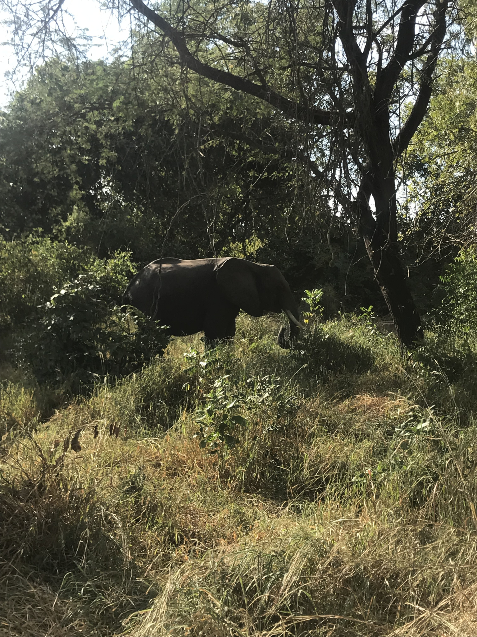 Keine Bildbeschreibung verfügbar