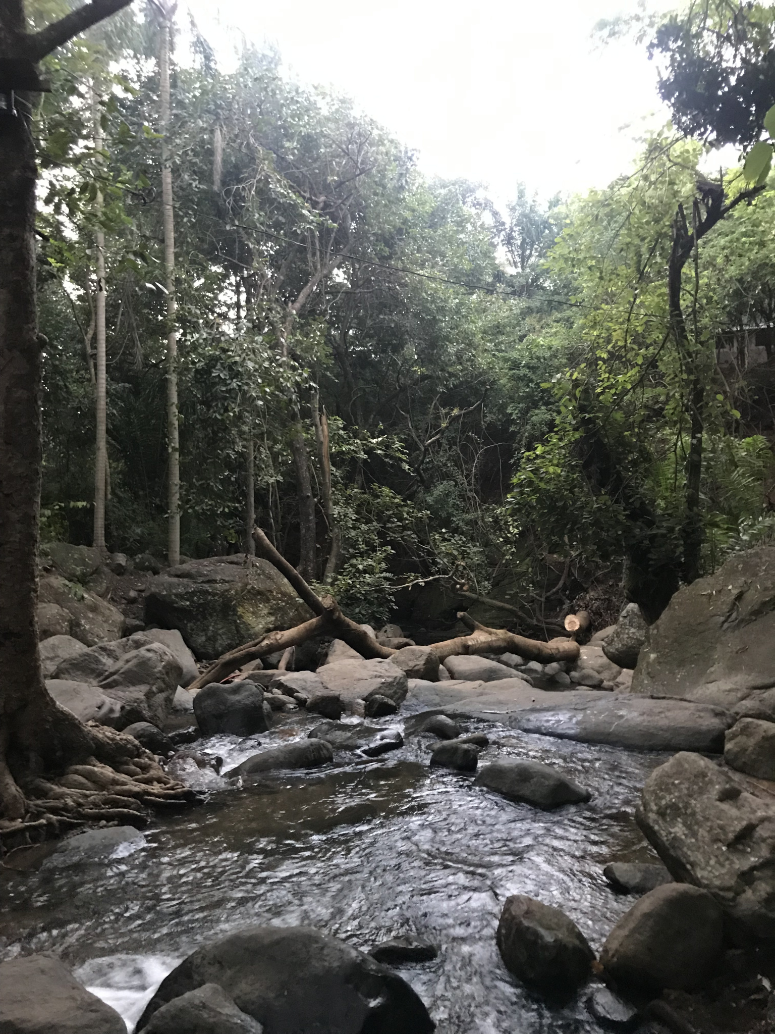 Keine Bildbeschreibung verfügbar