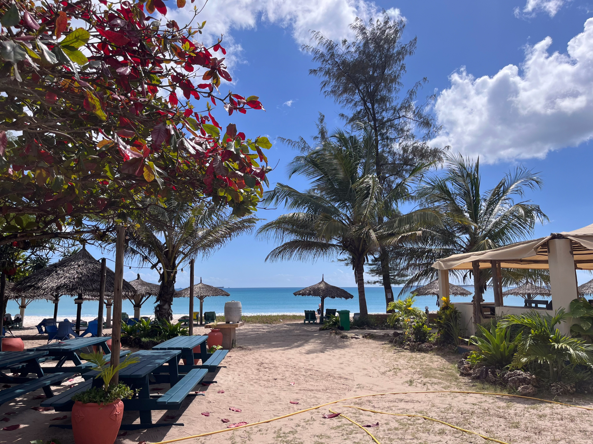 Keine Bildbeschreibung verfügbar