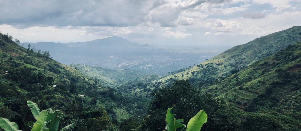 Keine Bildbeschreibung verfügbar
