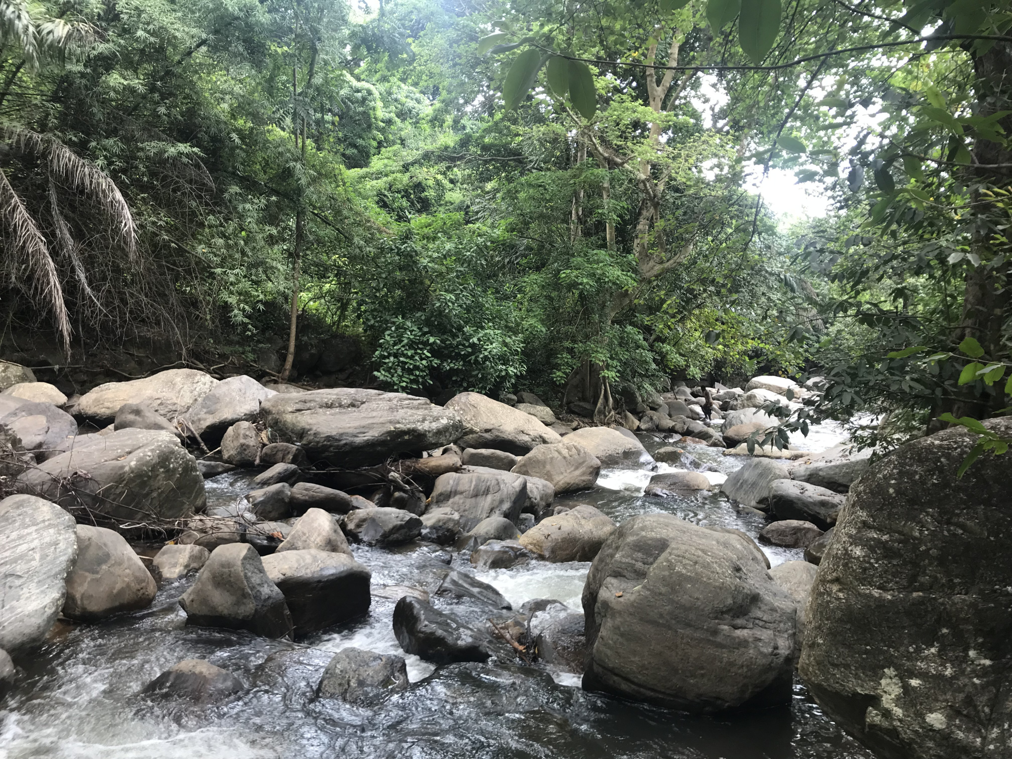 Keine Bildbeschreibung verfügbar