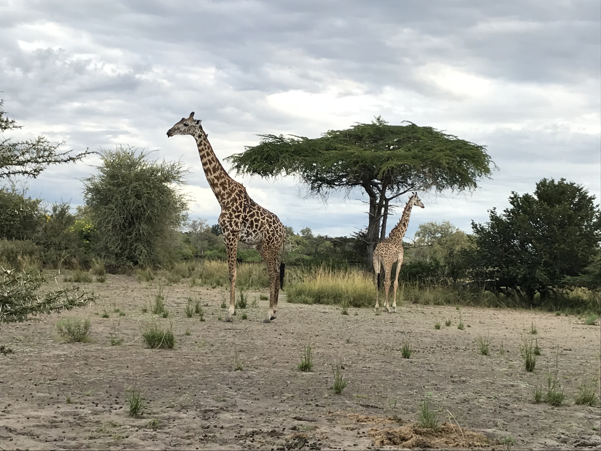 Keine Bildbeschreibung verfügbar