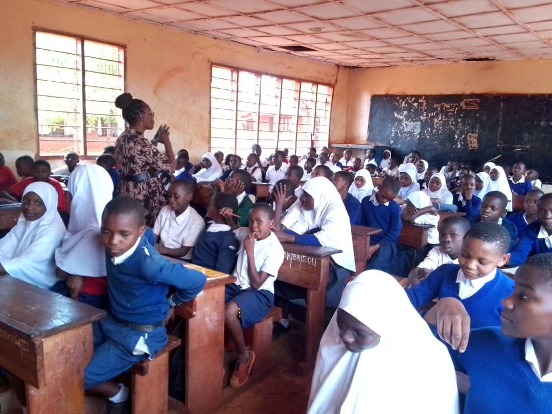 Keine Bildbeschreibung verfügbar