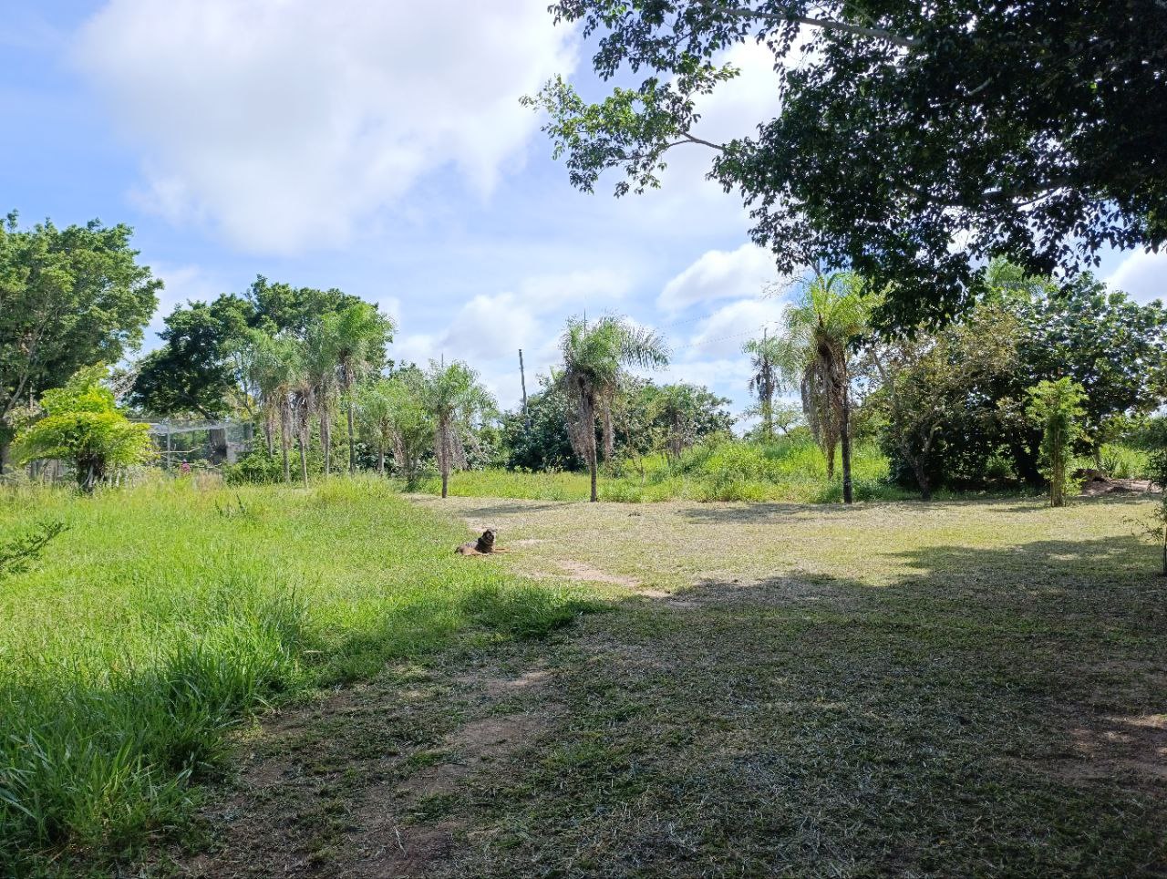 Keine Bildbeschreibung verfügbar