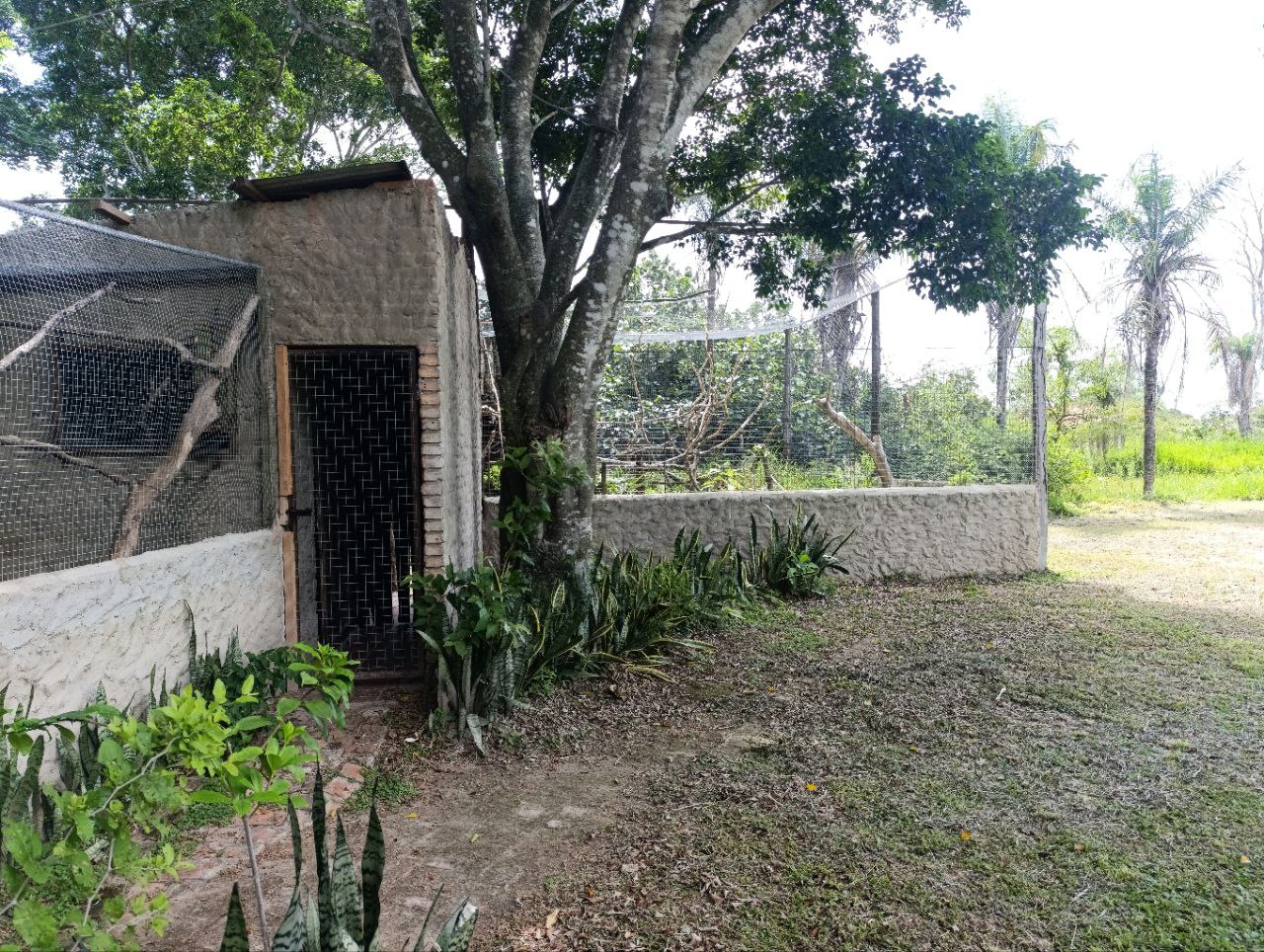 Keine Bildbeschreibung verfügbar