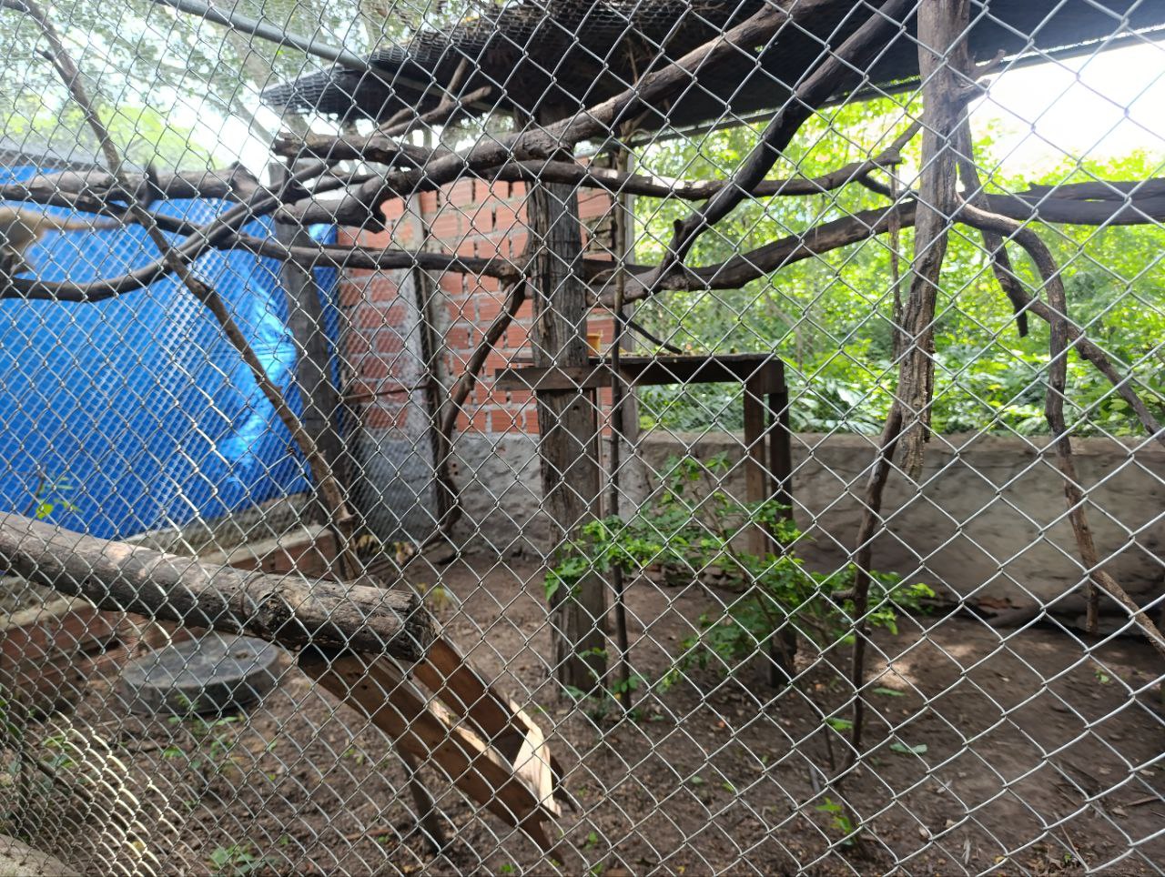 Keine Bildbeschreibung verfügbar