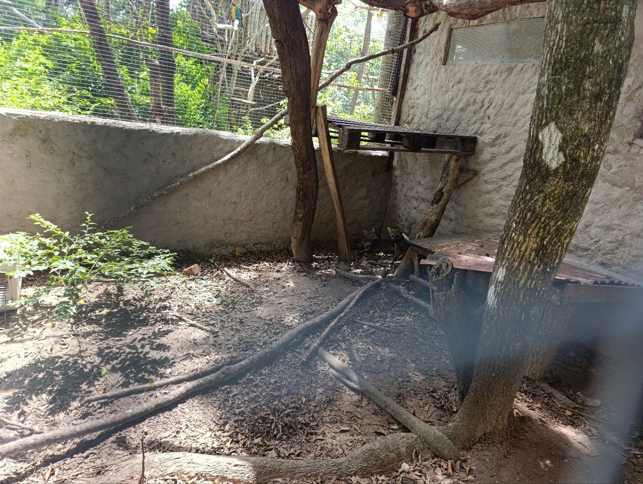 Keine Bildbeschreibung verfügbar