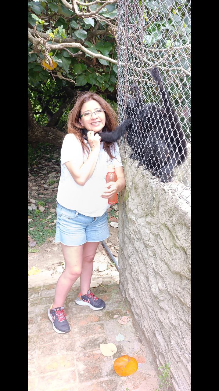 Keine Bildbeschreibung verfügbar