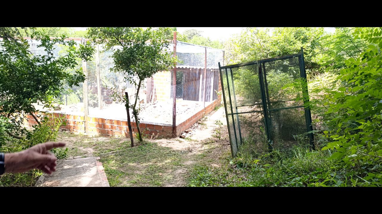 Keine Bildbeschreibung verfügbar