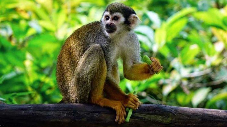 Keine Bildbeschreibung verfügbar