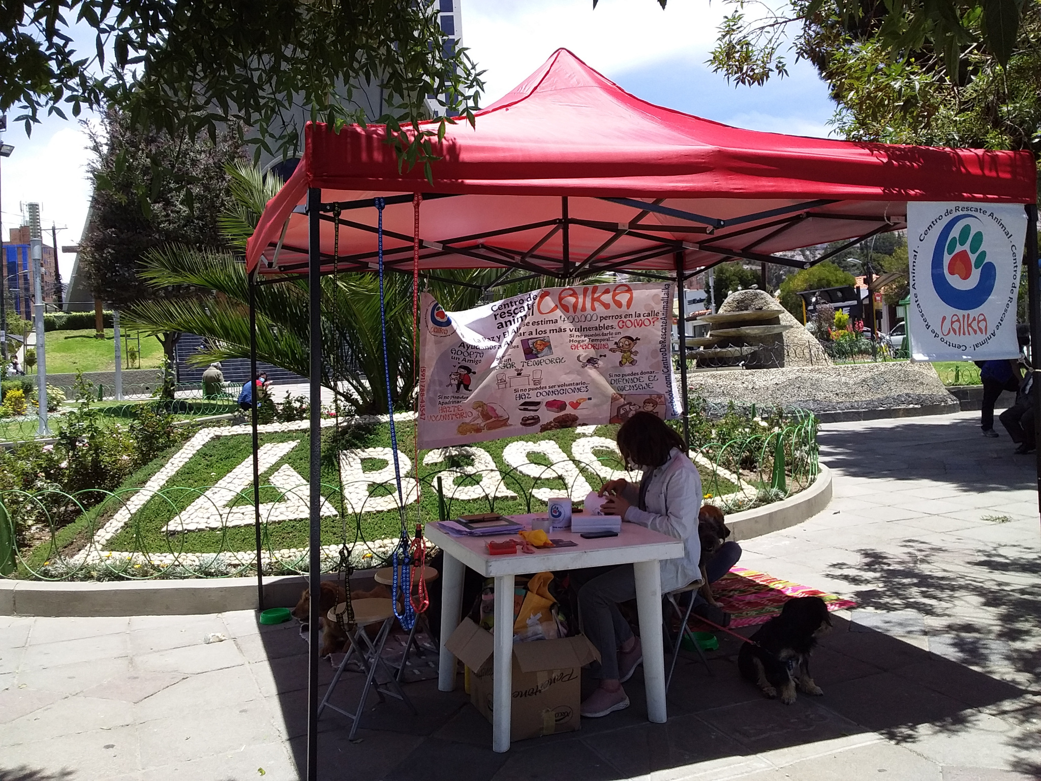 Keine Bildbeschreibung verfügbar