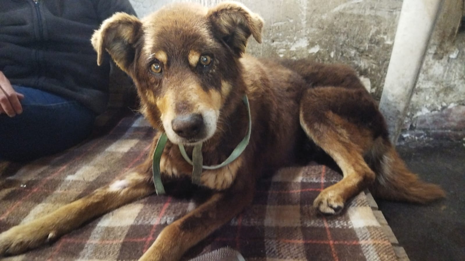 Keine Bildbeschreibung verfügbar