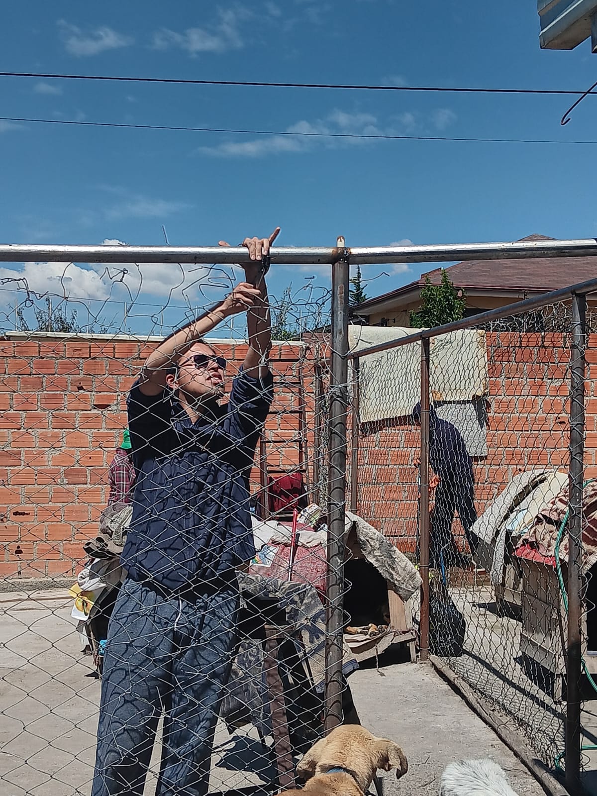 Keine Bildbeschreibung verfügbar