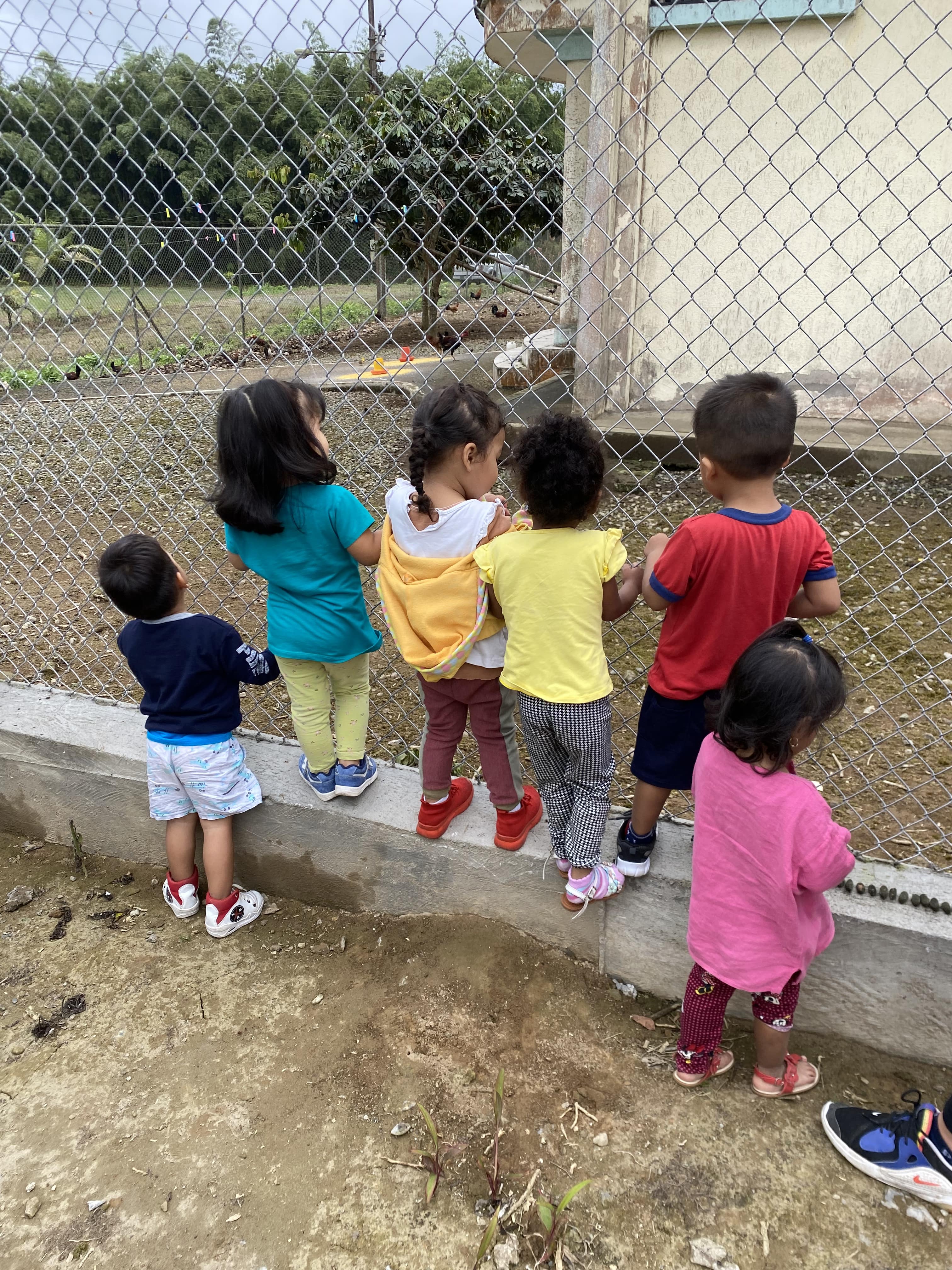 Keine Bildbeschreibung verfügbar