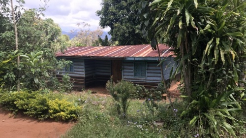 Keine Bildbeschreibung verfügbar