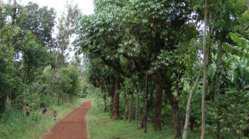 Keine Bildbeschreibung verfügbar